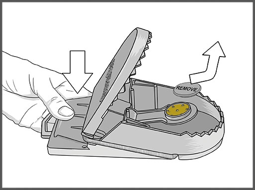 Swiss Inno Super Cat Pasca na potkany