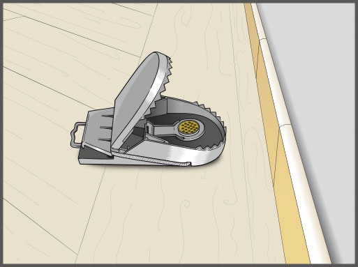 Swiss Inno Super Cat Pasca na potkany