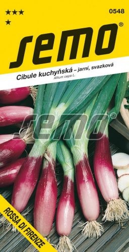 Semo Cibuľa kuchynská ´Rossa di Firenze´