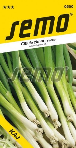 Semo Cibuľa kuchynská zimná ´Kaj´