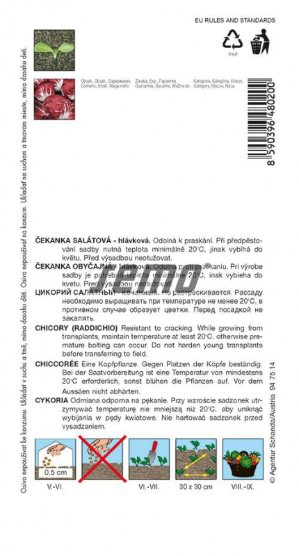 Semo Čakanka hlávková - šalátová ´Palla Rossa 3´