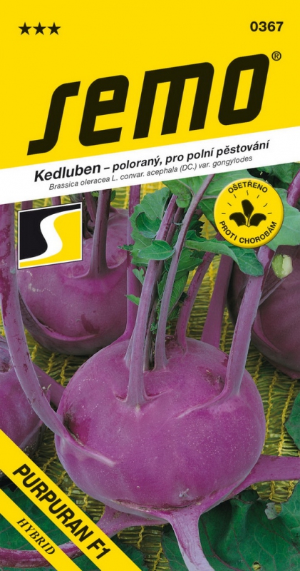 Semo Kaleráb ´Purpuran F1´