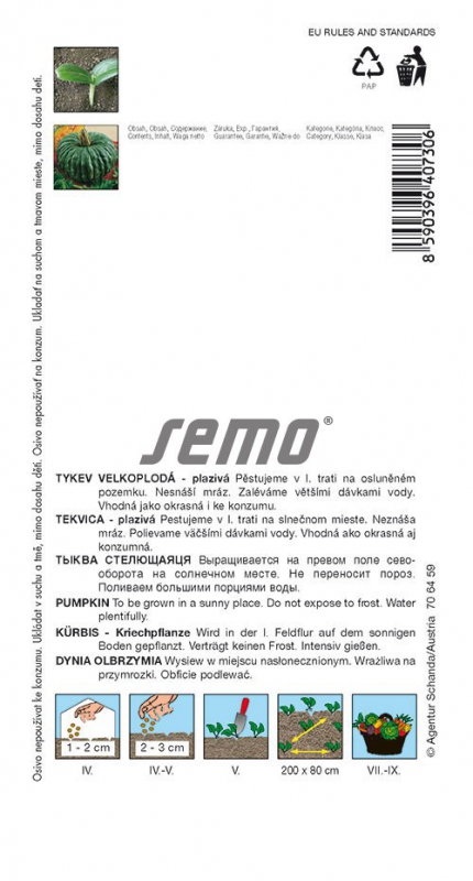 Semo Tekvica veľkoplodá ´Marina di Chioggia´