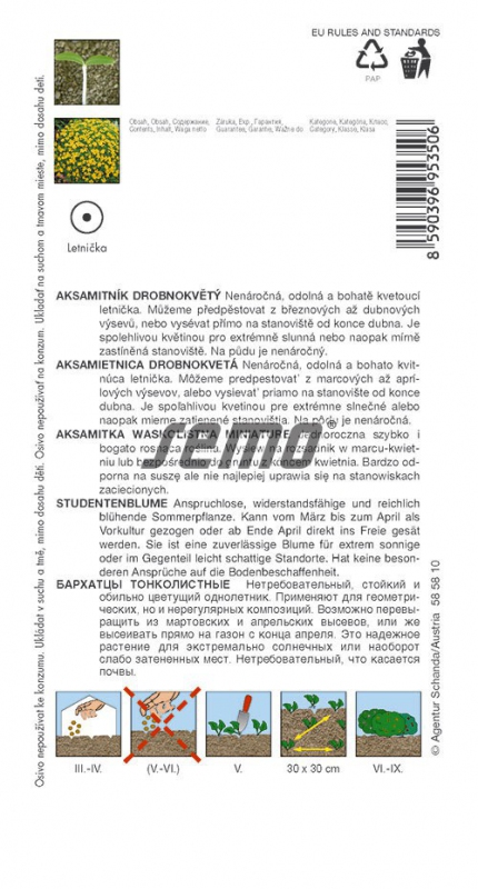 Semo Aksamietnica drobnokvetá ´Žltá´