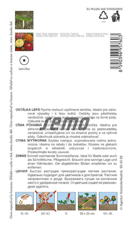 Semo Cínia kaktusokvetá ´Zmes´