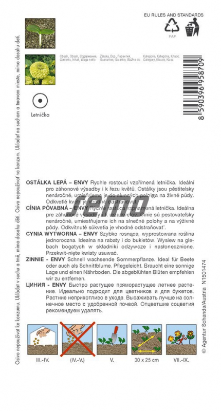 Semo Cínia ´Envy´