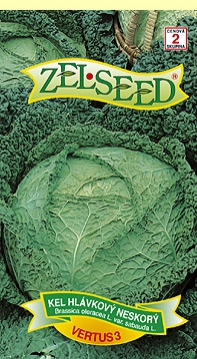 Zelseed Kel hlavkový ´Vertus 3´