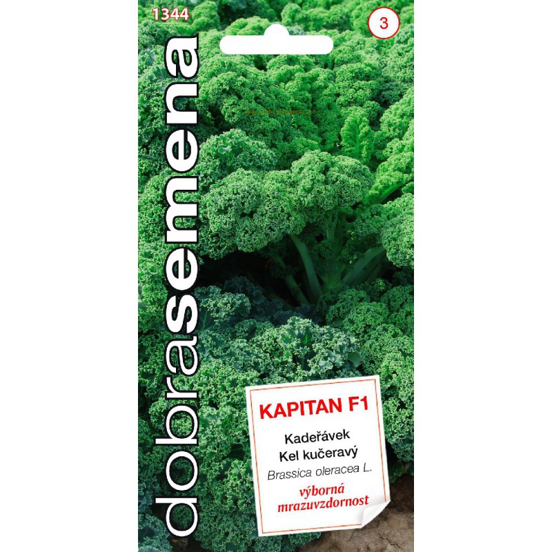 Dobrá semena Kel ružičkový ´Kapitan F1´