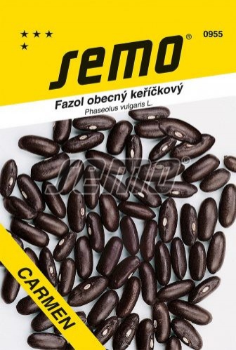 Semo Fazuľa záhradná kríčkovitá ´Carmen´