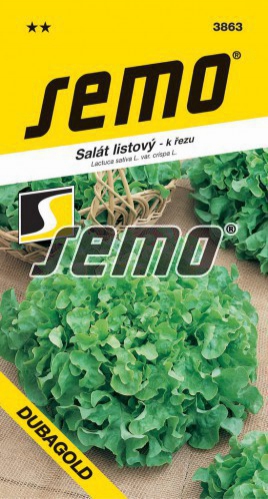 Semo Šalát  listový ´Dubagold´