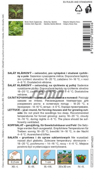 Semo Šalát hlávkový ´Batavus´
