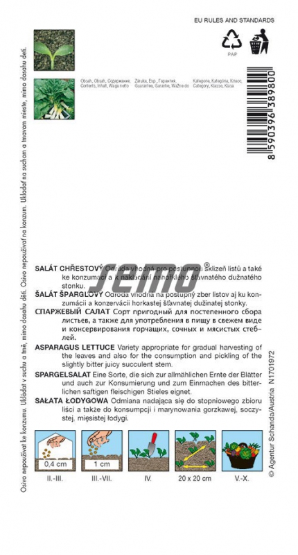 Semo Šalát špargľový ´Celtuce´