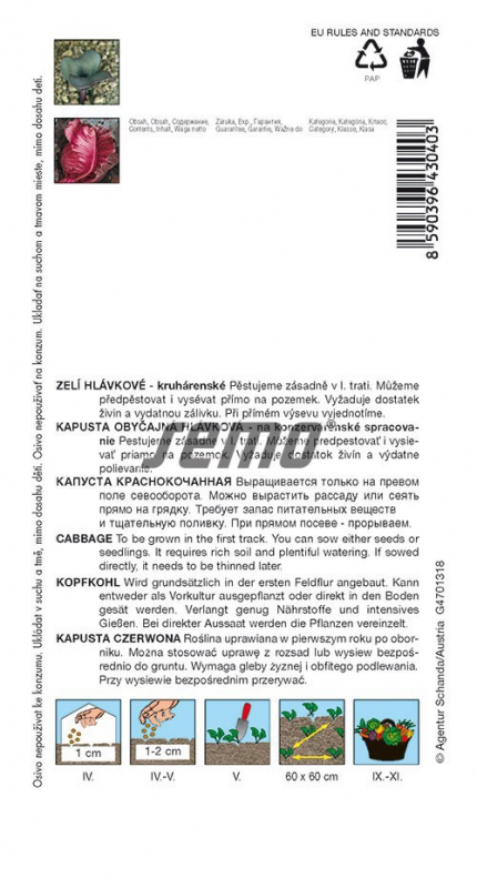 Semo Kapusta hlávková červená ´Kalibos´