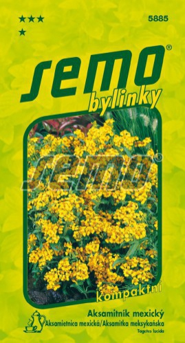 Semo Aksamietnica mexická