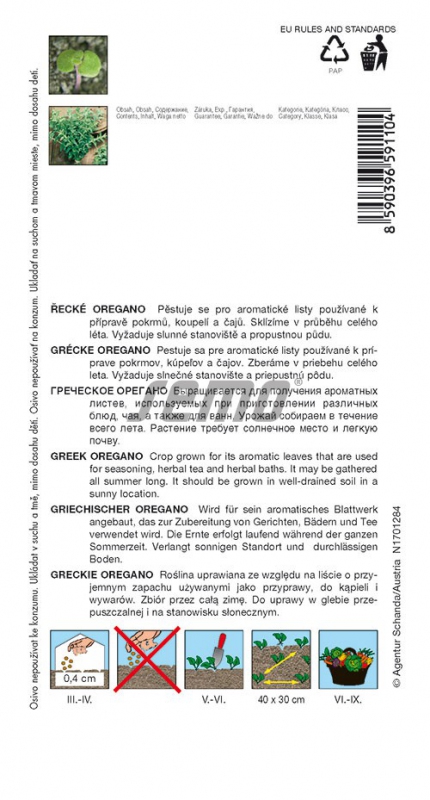 Semo Pamajorán - Oregano grécke