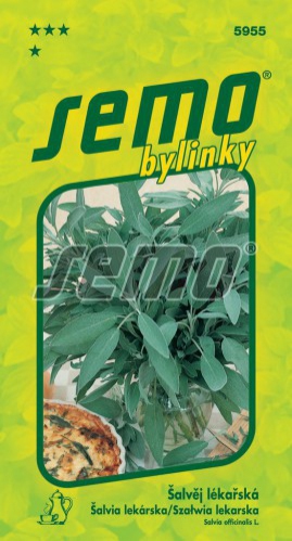 Semo Šalvia lekárska
