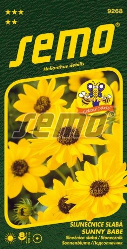 Semo Slnečnica slabá ´Sunny Babe´