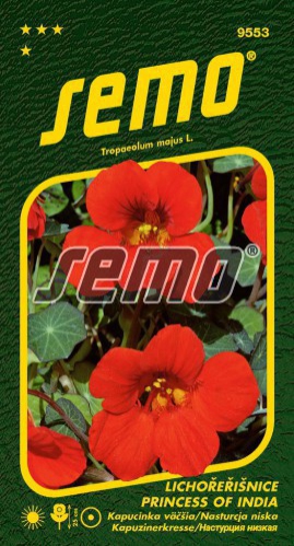 Semo Kapucínka väčšia ´Princess of India´