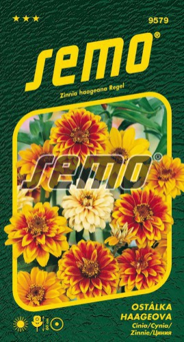 Semo Cínia ´Haageova Zmes´