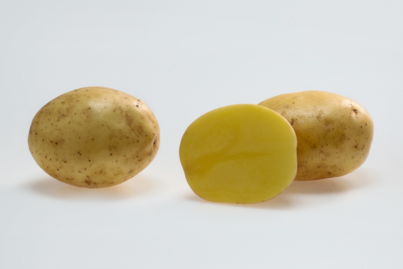 Sadbové zemiaky ´Soraya´ 5kg