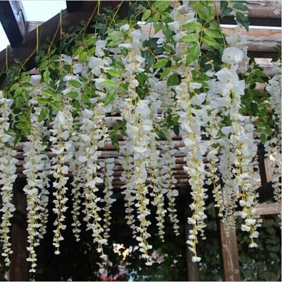 Vistéria vznešená ´White Silk´