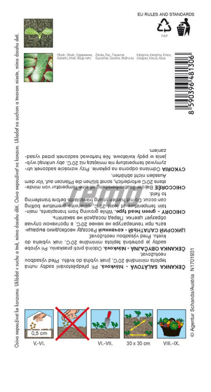 Semo Čakanka šalátová ´Bravo´