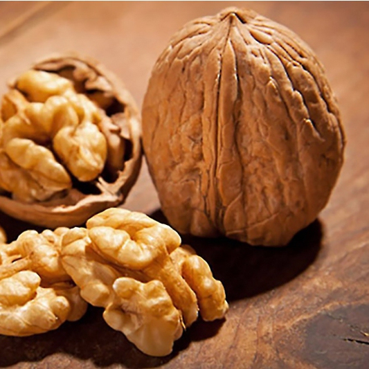 Orech ´Jupiter´, voľnok.