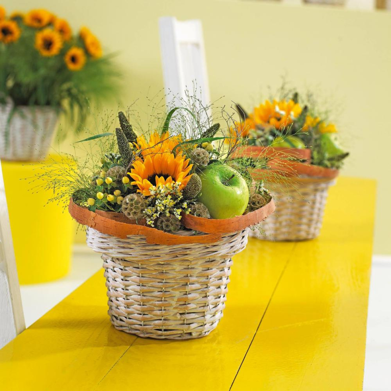 OASIS® Ideal Valček 8x6cm