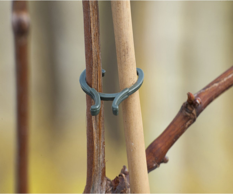 Spony upínacie na rastliny 20mm