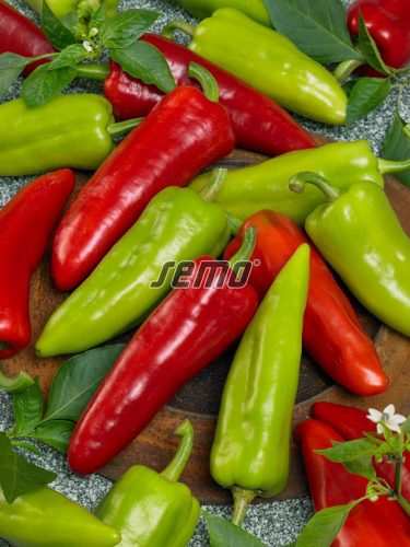 Semo Paprika ročná ´Dráky F1´
