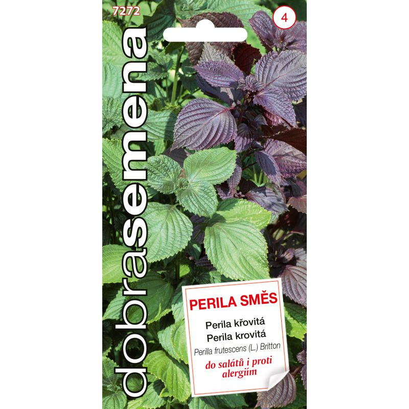 Dobrá semena Perila krovitá