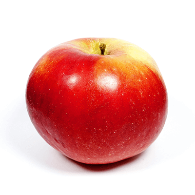 Jabloň "Idared" zimná, podp. MM106, kont. 5l