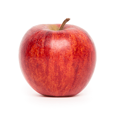 Jabloň ´Gala Mitchgla´ jesenná, podp. MM106, voľnok.