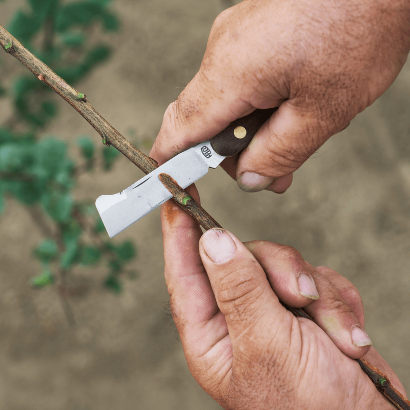 FELCO 512  Vrúbľovací nôž