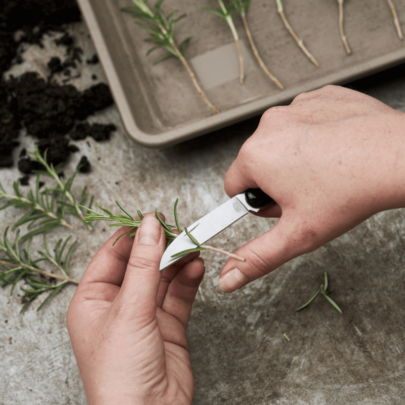 FELCO 520 Floristický nôž