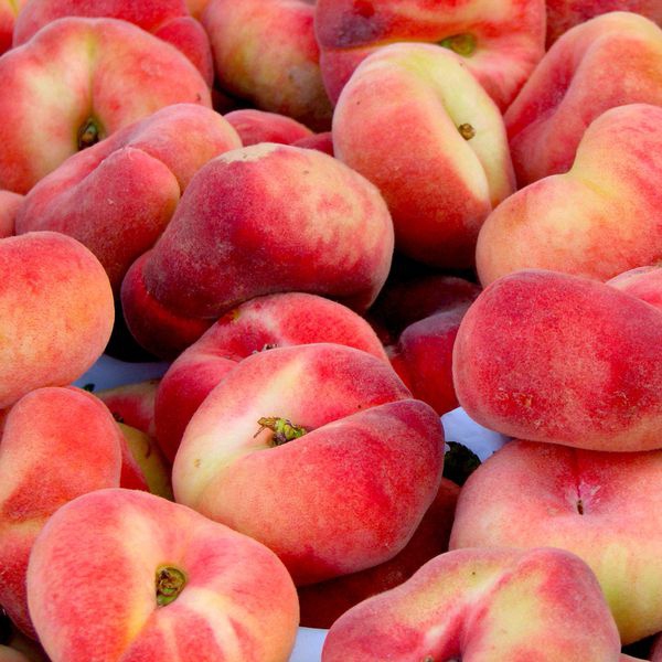 Broskyňa "Sandwich gelb" skorá