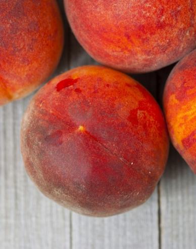 Broskyňa ´Suncrest´ neskorá, podp. GF677, kont.5l