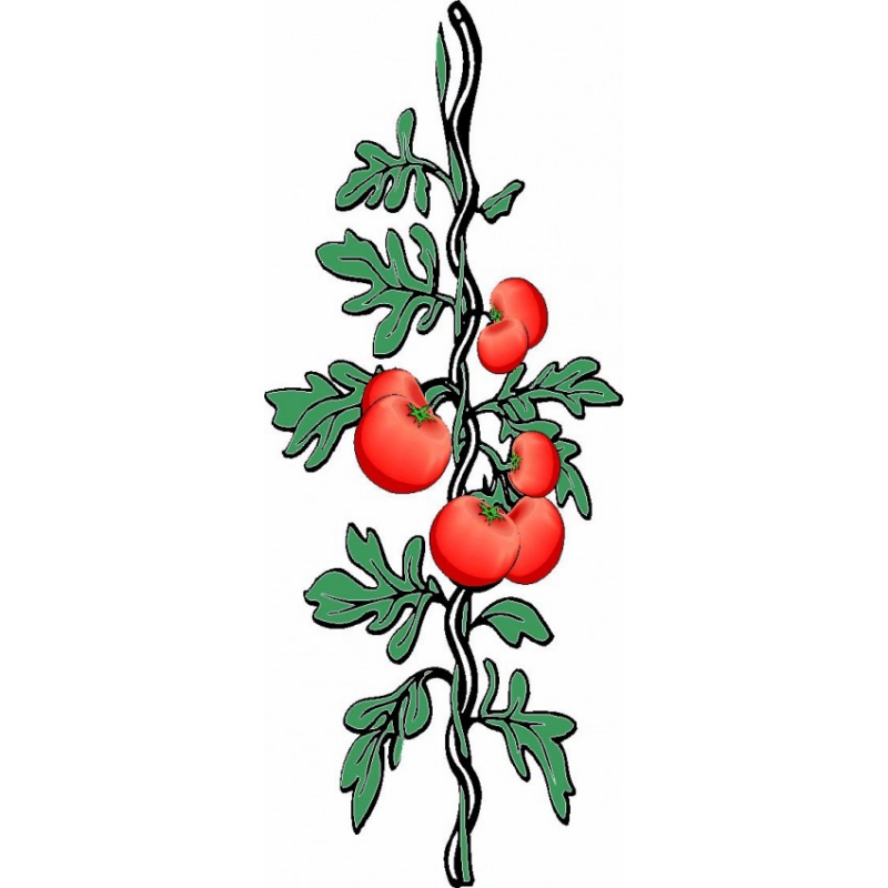 Špirála na rajčiny 180cm