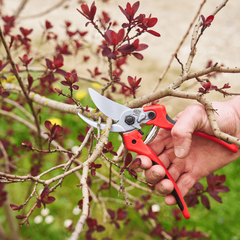 FELCO 171L Nožnice + FELCO 902 brúska