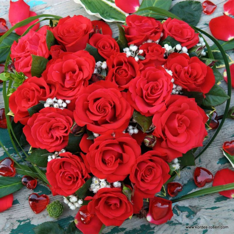 Ruža ´Grand Amore´