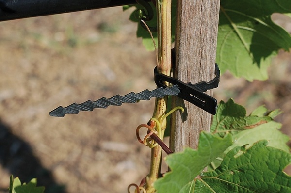 Úväzok na strom 180mm