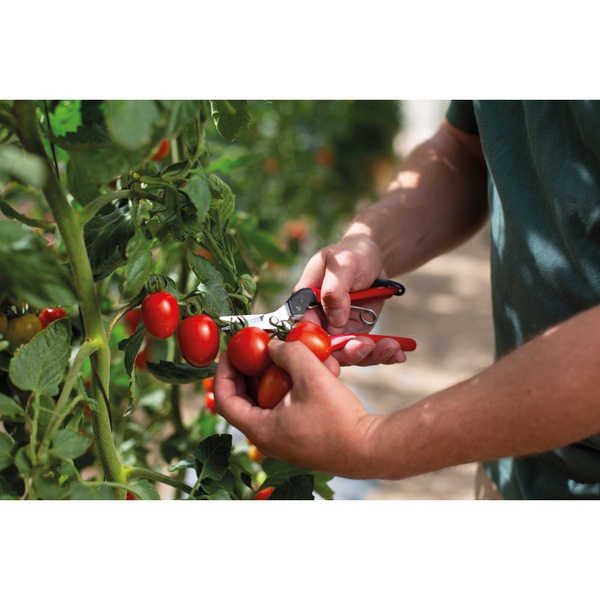 FELCO 321  Zberové nožnice