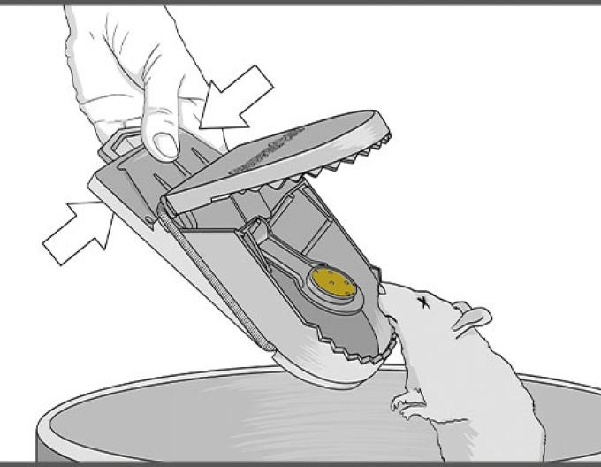 Swiss Inno Super Cat Pasca na potkany