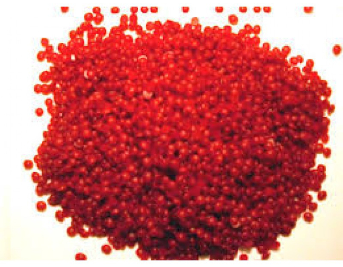 REBWACHS WF štepársky vosk 2kg