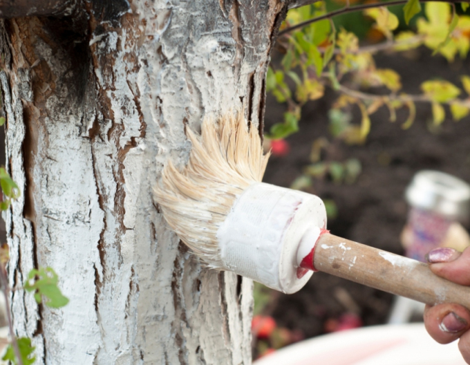 Biovita Vápno na bielenie stromov a kríkov 2kg