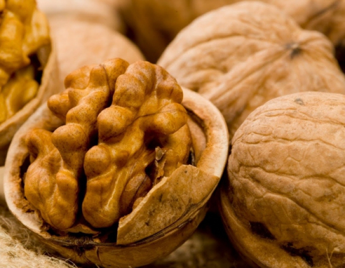 Orech "Apollo", voľnok.