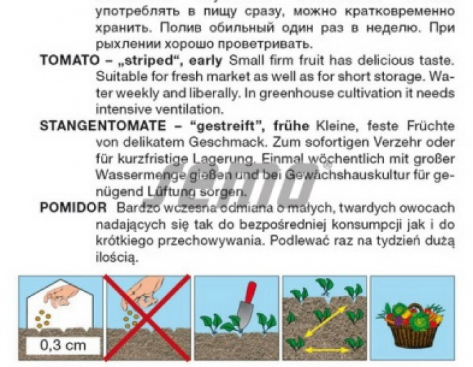 Semo Rajčiak kolíkový ´Tigrino´