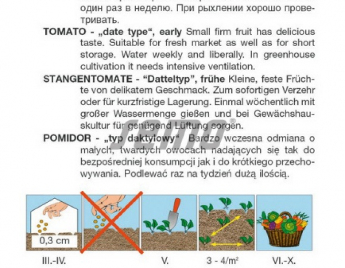Semo Rajčiak kolíkový ´Datlo´