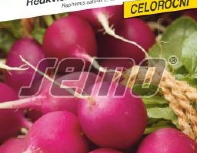 Semo Reďkovka fialová ´Lilana´