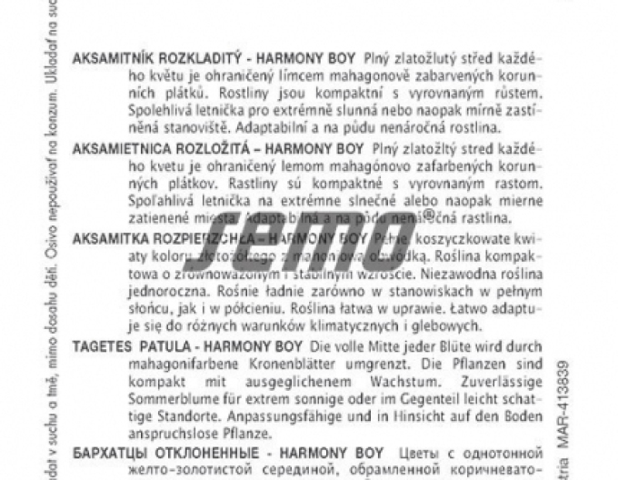 Semo Aksamietnica rozložitá ´Harmony Boy´